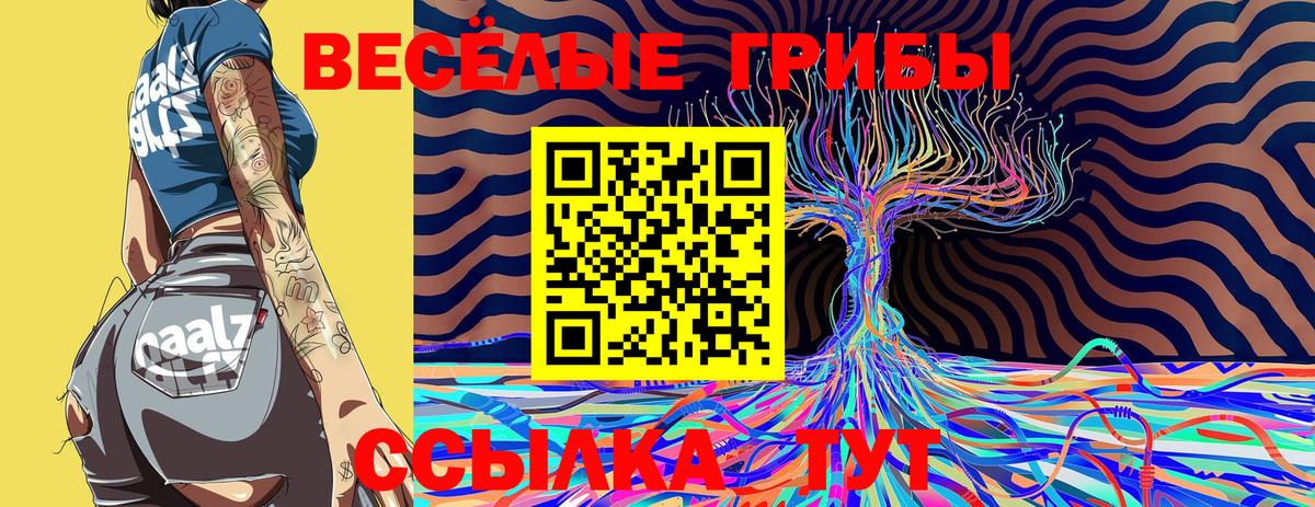 Галлюциногенные грибы прущие грибы Хабаровск