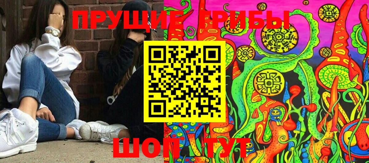 Псилоцибиновые грибы мицелий  Вход с VPN  Хабаровск 
